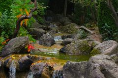 Japanischer Garten in Bonn 5