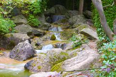 Japanischer Garten in Bonn 9