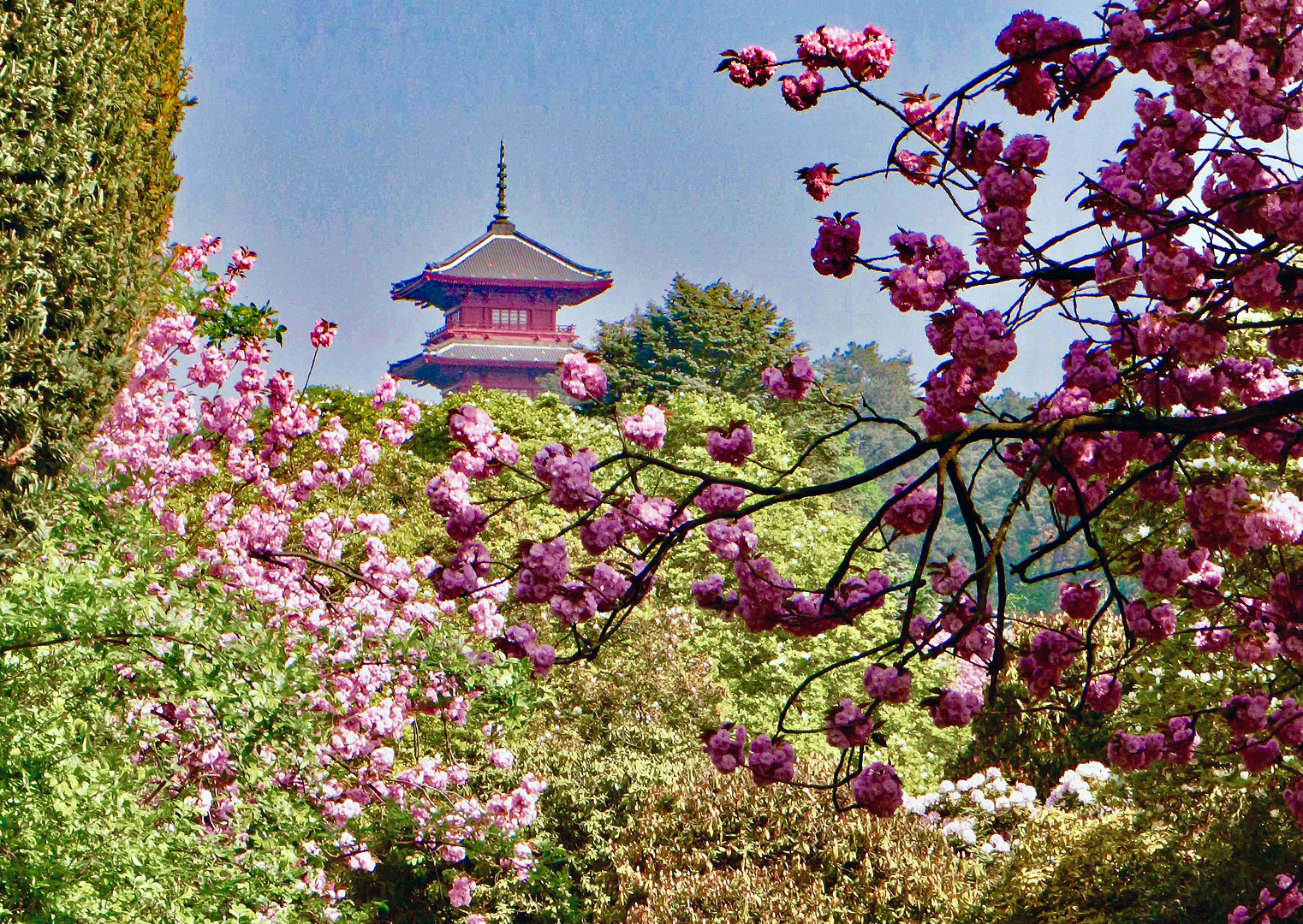 Japanischer Garten in Brüssel