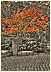 japanischer garten in den 'gärten der welt'