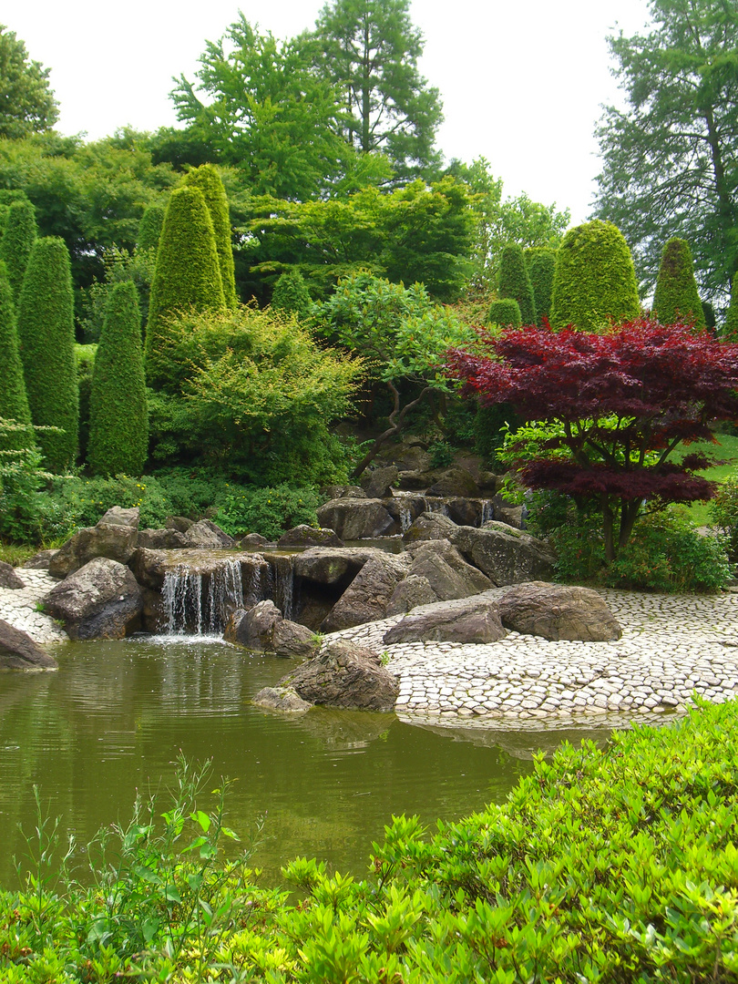 Japanischer Garten in der Rheinaue
