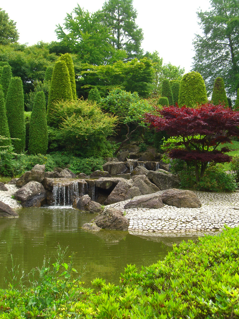 Bepflanzung Japanischer Garten Japanischer Garten in der Rheinaue Foto & Bild | deutschland, europe