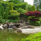 Japanischer Garten in der Rheinaue