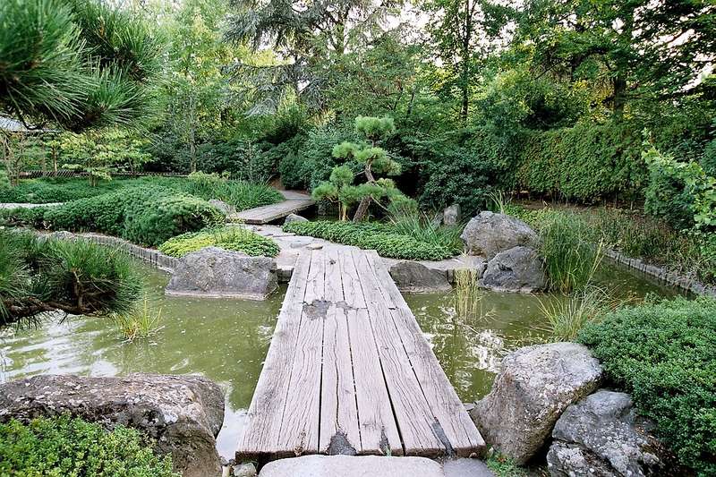 Japanischer Garten in der Rheinaue in Bonn