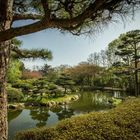 Japanischer Garten in Düsseldorf