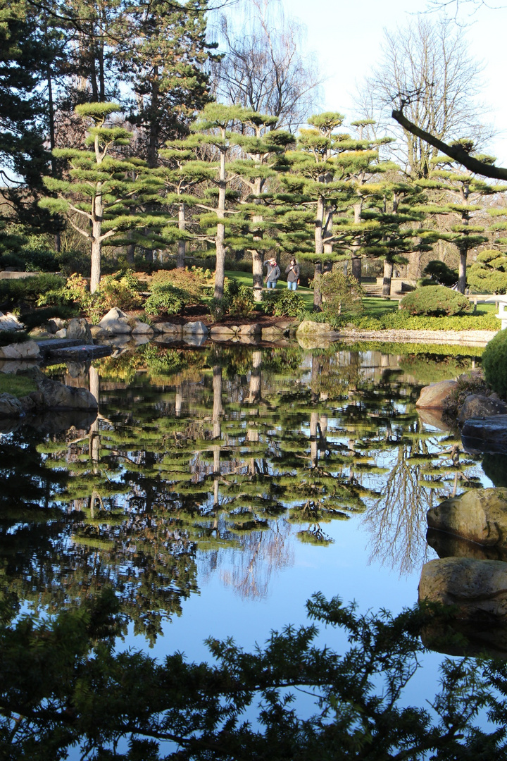 Japanischer Garten in Düsseldorf, Teil 2