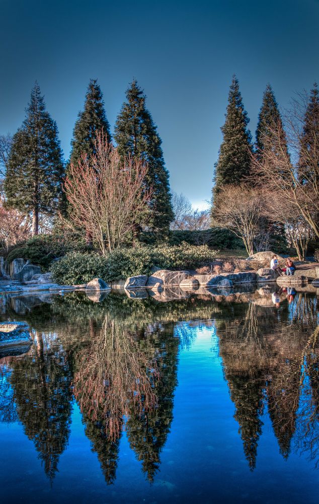 Japanischer Garten in Hamburg Foto & Bild landschaft, garten