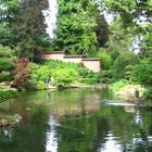 Japanischer Garten in Kaiserslautern