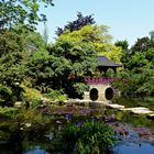 Japanischer Garten in Leverkusen...