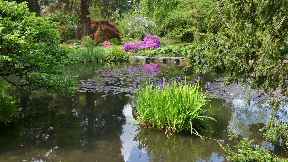 Japanischer Garten in Leverkusen 