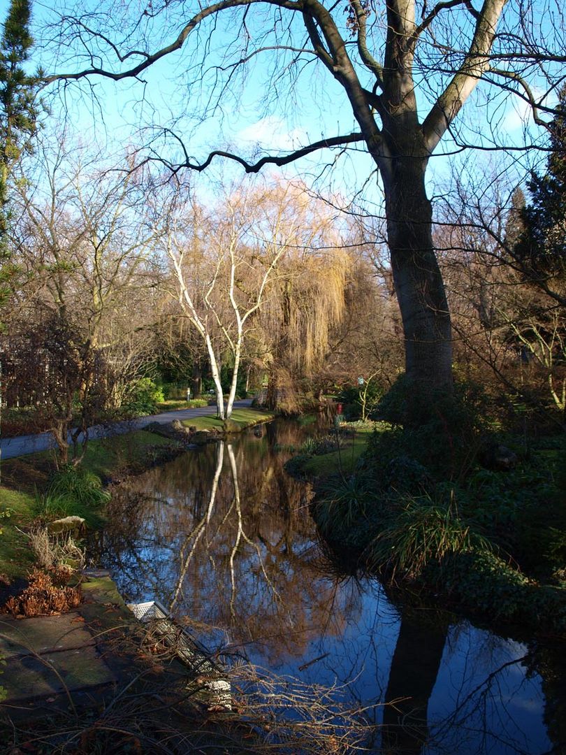 Japanischer Garten in Leverkusen