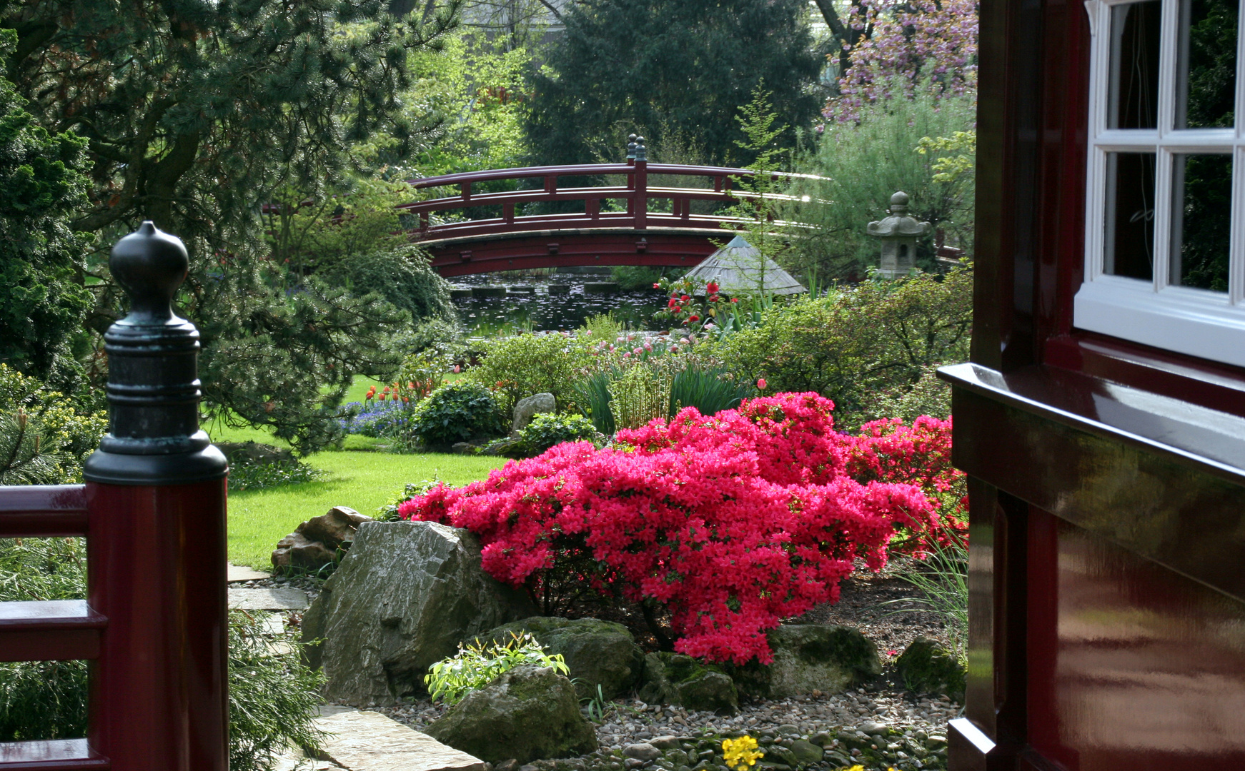 Japanischer Garten in Leverkusen...