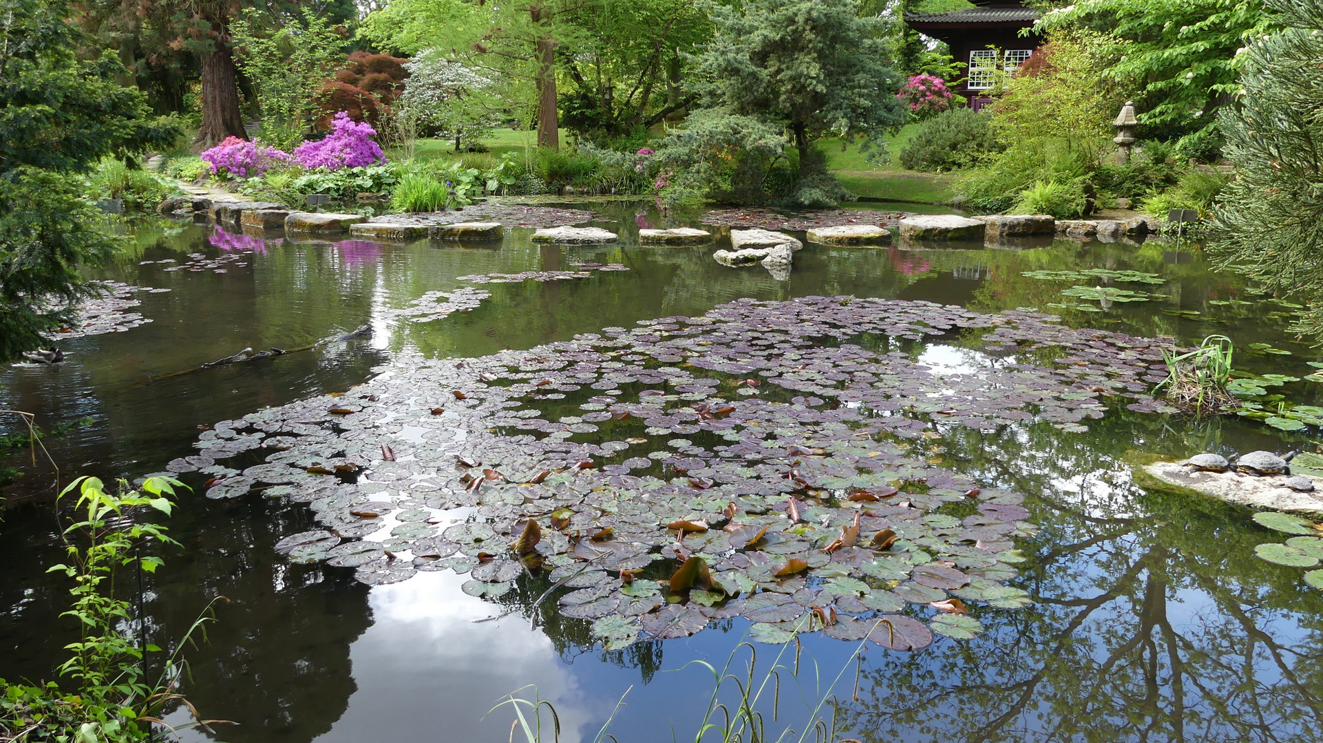 Japanischer Garten in Leverkusen