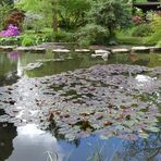 Japanischer Garten in Leverkusen