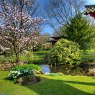 Japanischer Garten in Leverkusen 