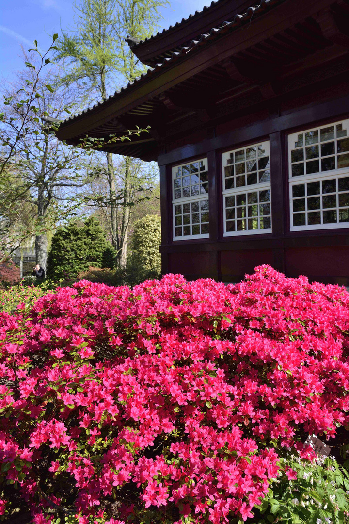 Japanischer Garten in Leverkusen