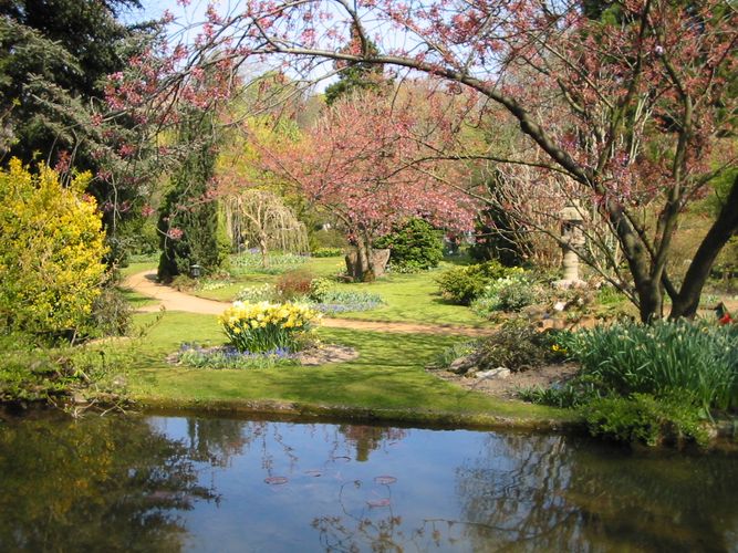Japanischer Garten in Leverkusen Foto & Bild | landschaft ...