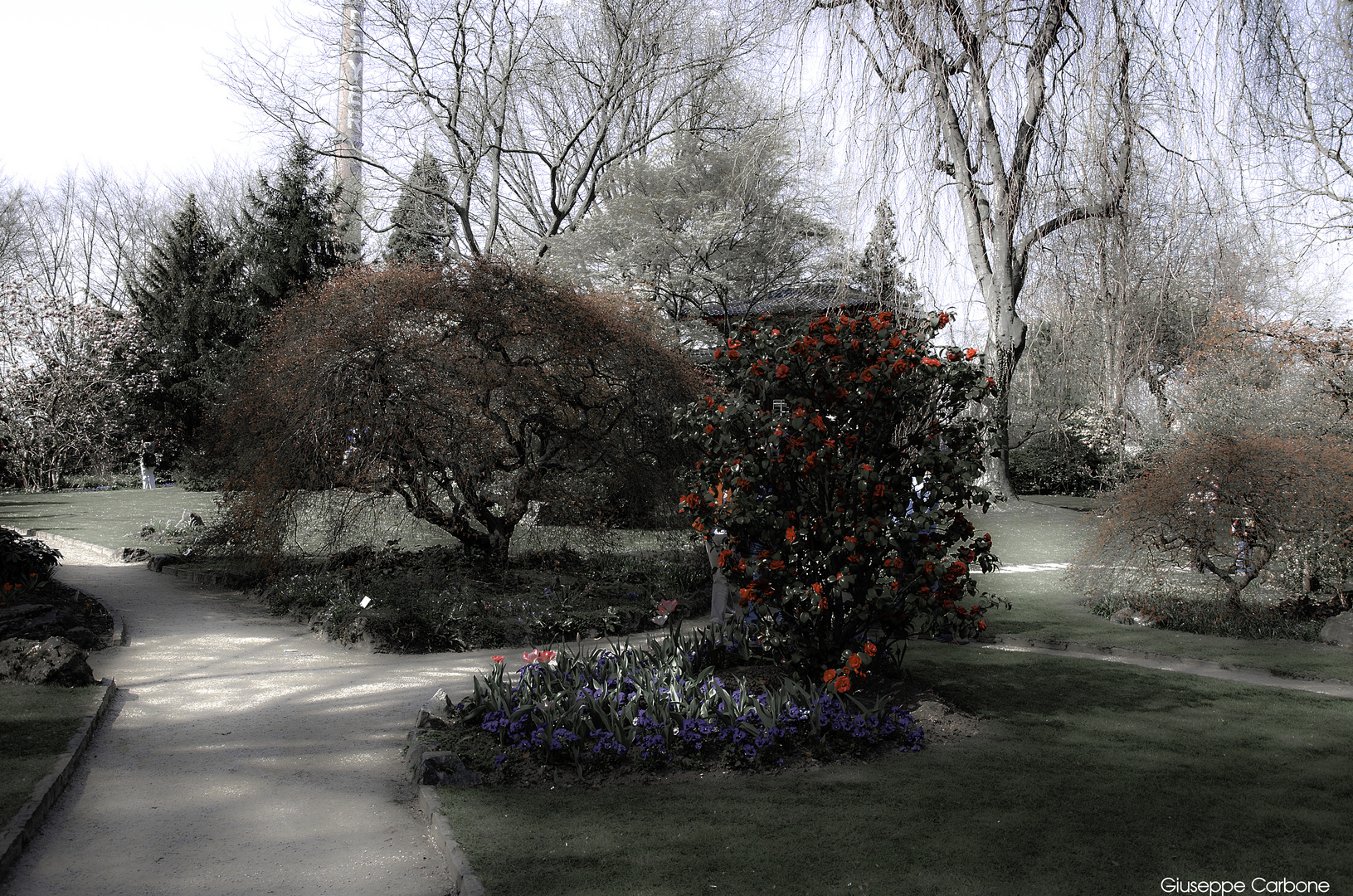 Japanischer Garten In Leverkusen Fruhling 2014 Kommt Foto