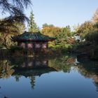 Japanischer Garten in Münzesheim