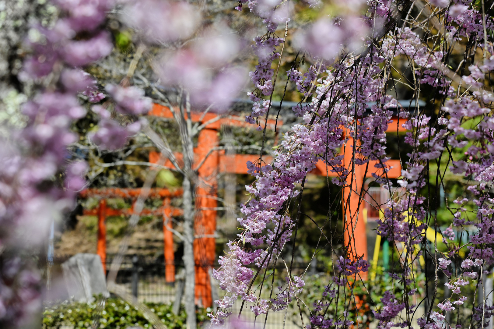 Japanischer Garten in Osaka.