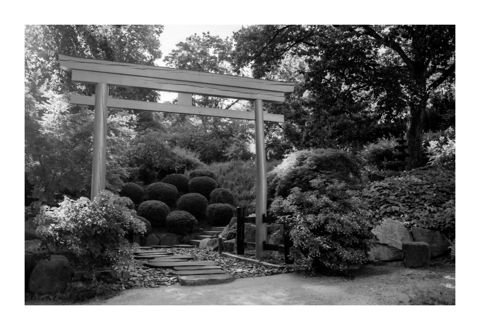 "Japanischer Garten Kaiserslatuern"