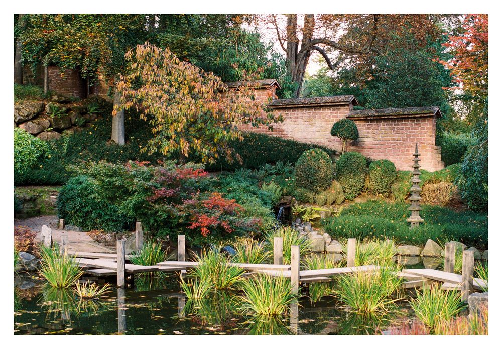 Japanischer Garten Kaiserslautern Foto & Bild landschaft