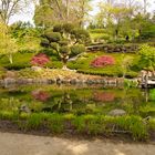 Japanischer Garten Kaiserslautern