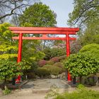 Japanischer Garten Kaiserslautern