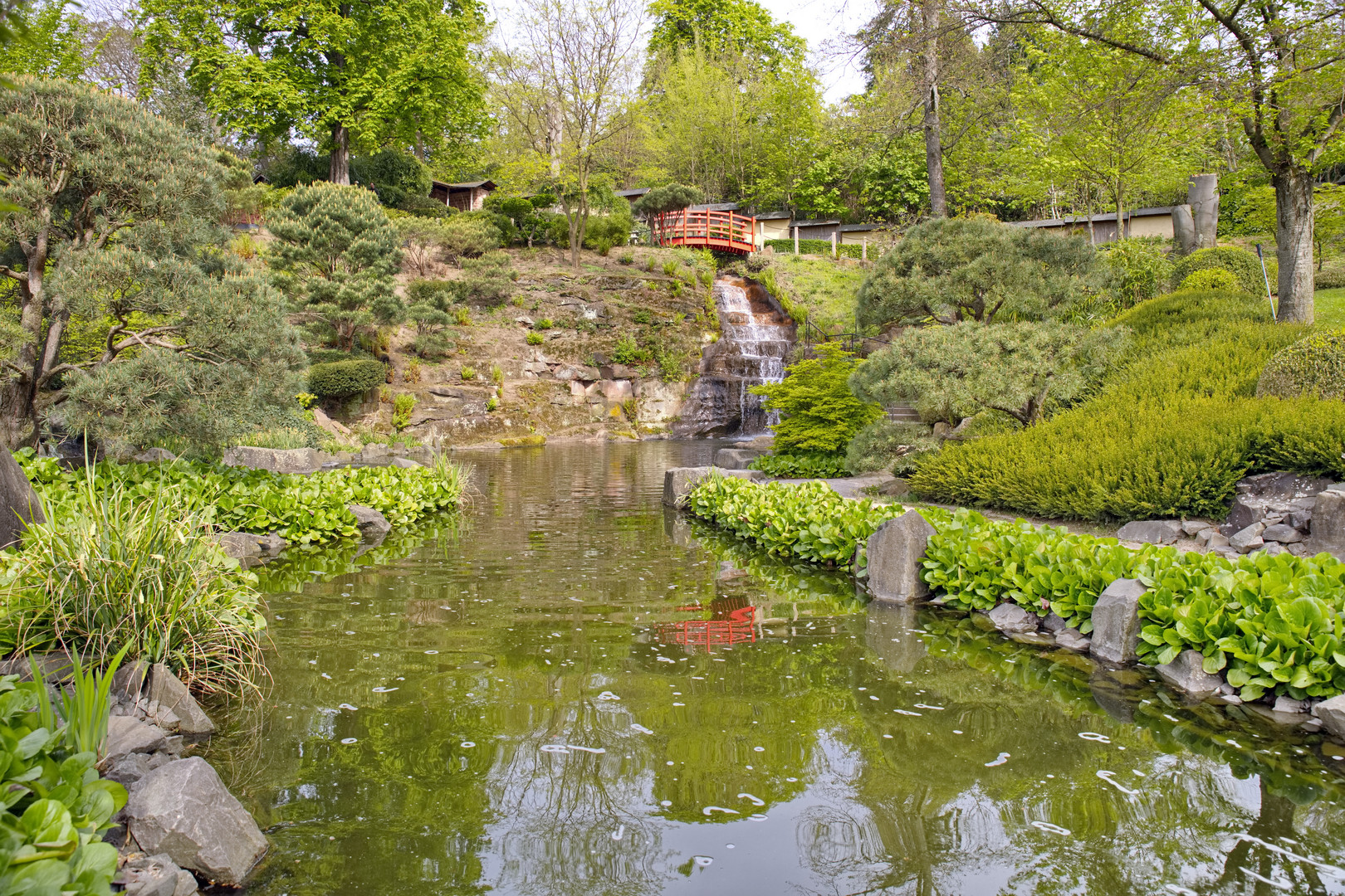 Japanischer Garten Kaiserslautern