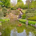 Japanischer Garten Kaiserslautern