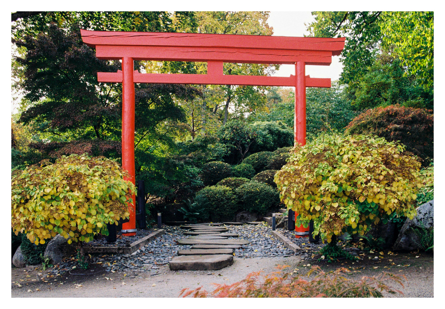 Japanischer Garten Kaiserslautern