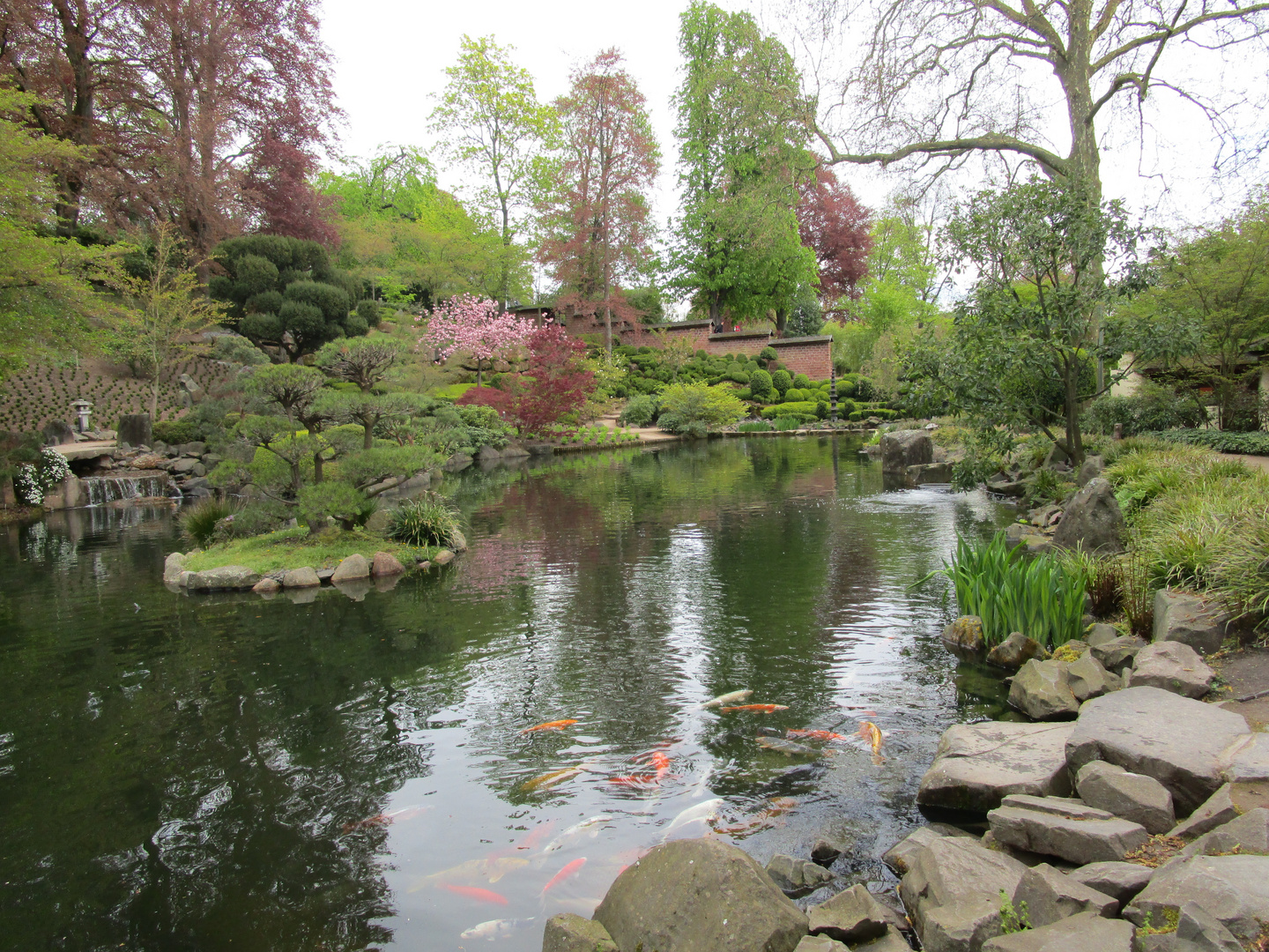 Japanischer Garten Kaiserslautern