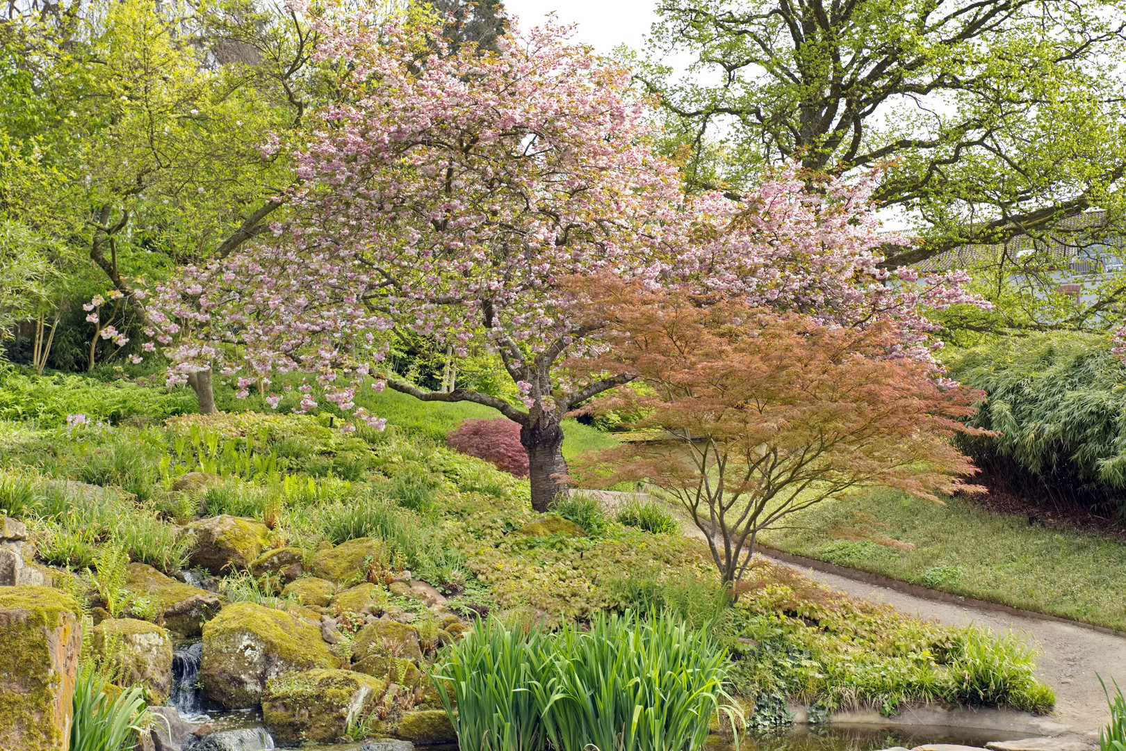 Japanischer Garten Kaiserslautern