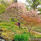 Japanischer Garten Kaiserslautern