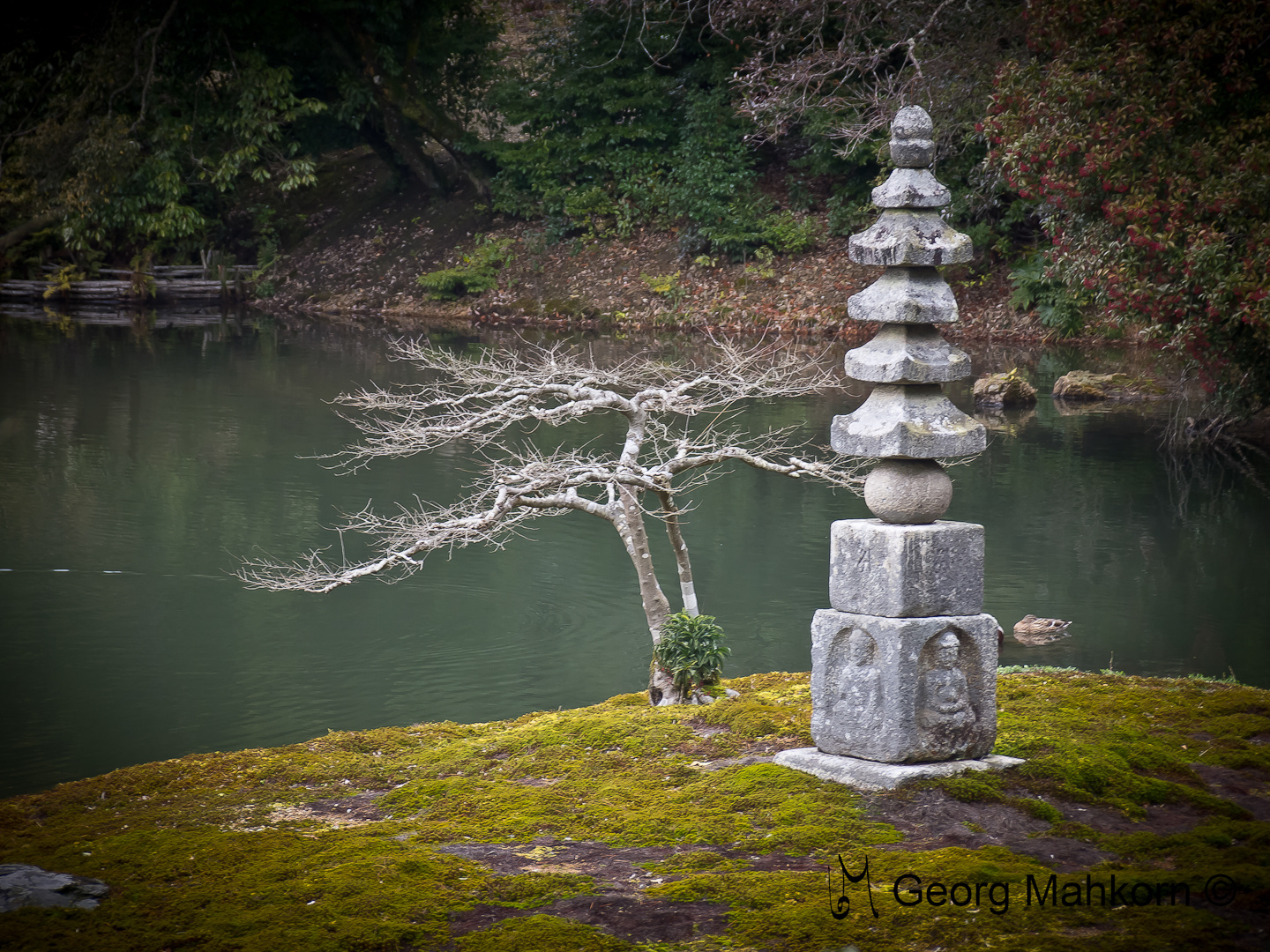 Japanischer Garten - Kleine Pagode