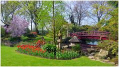 Japanischer Garten Leverkusen 1