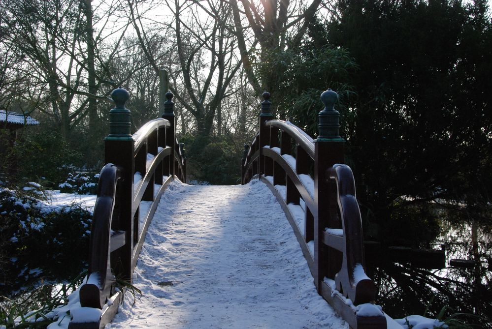 Japanischer Garten Leverkusen 14 01 2010 Brucke Foto Bild