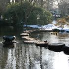 Japanischer Garten Leverkusen - 14.01.2010 - Weiher mit Reiher