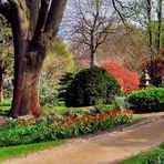 Japanischer Garten Leverkusen 2