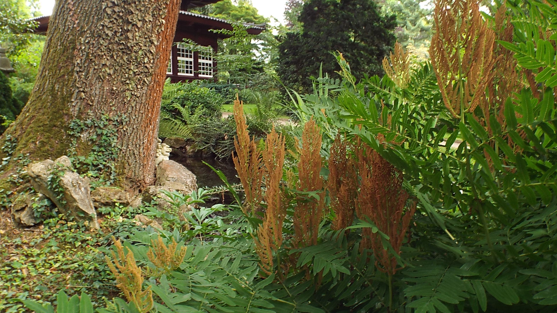 Japanischer Garten, Leverkusen