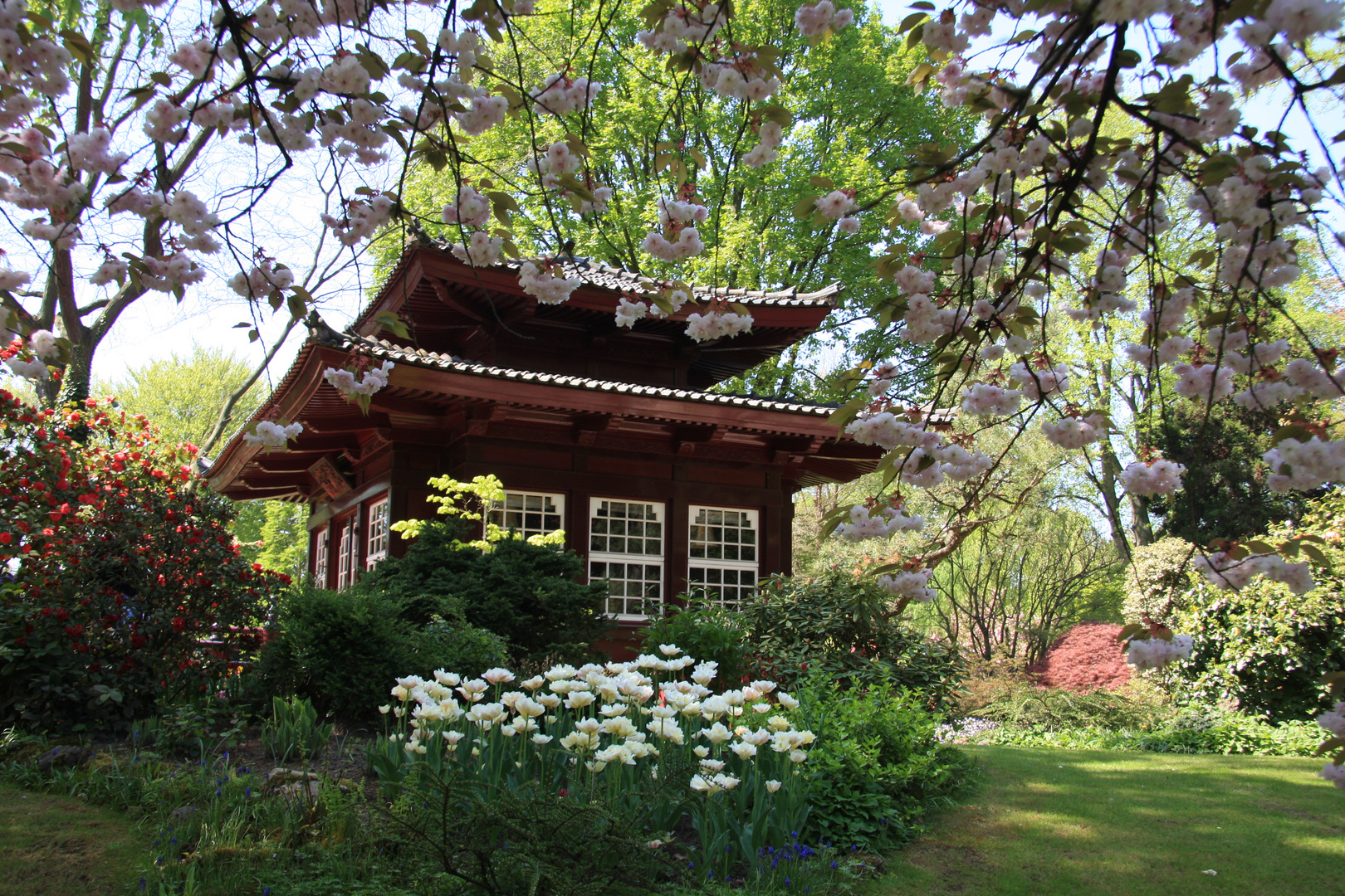 Japanischer Garten Leverkusen (5)