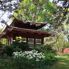 Japanischer Garten Leverkusen (5)