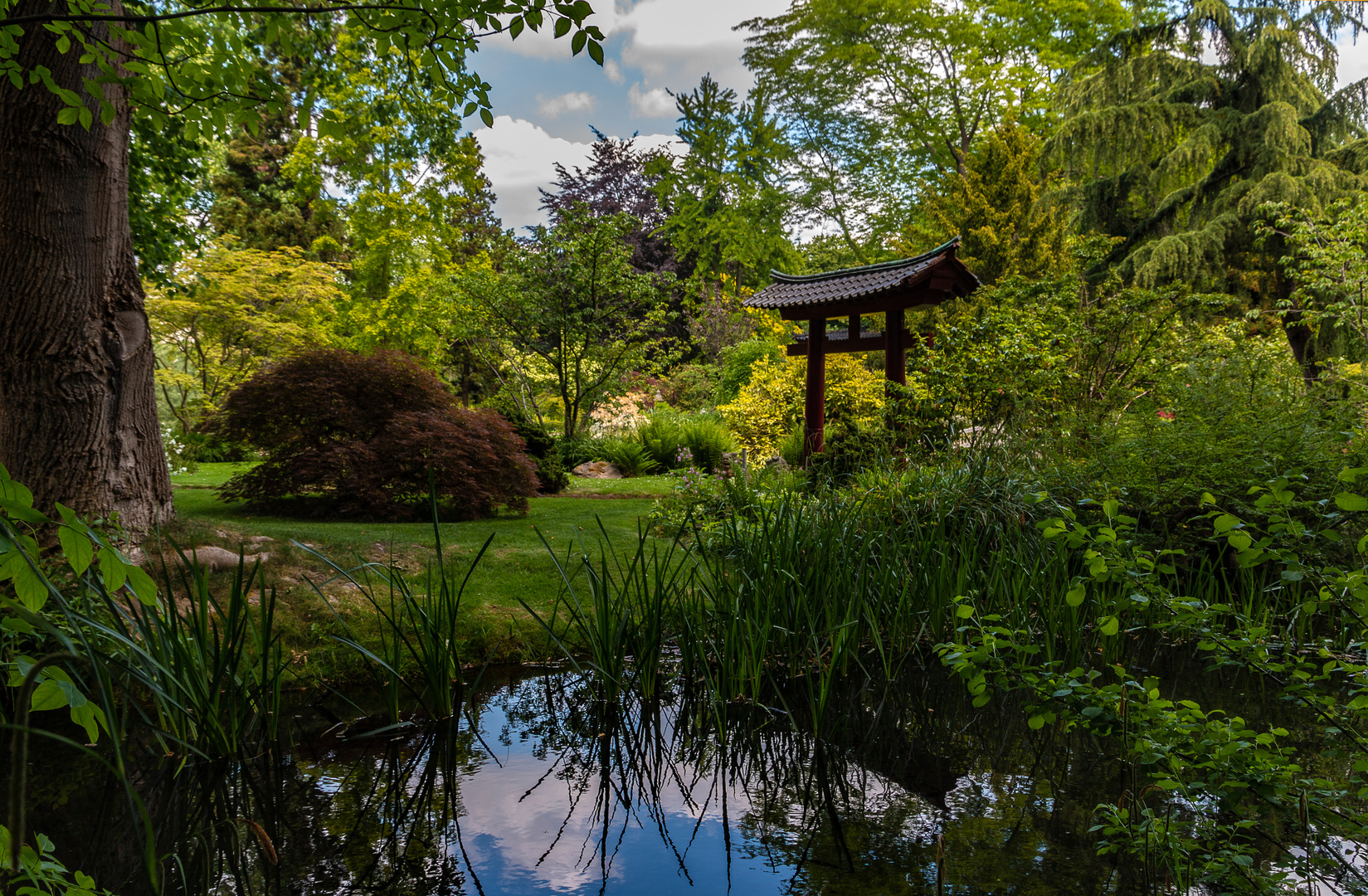 Japanischer Garten Leverkusen