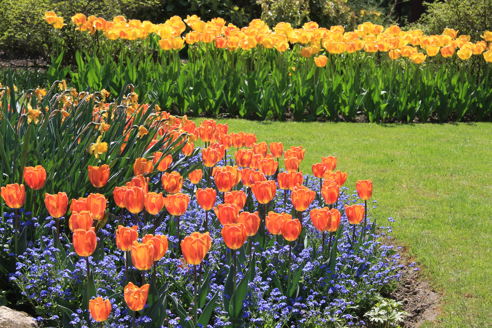 Japanischer Garten Leverkusen (6)