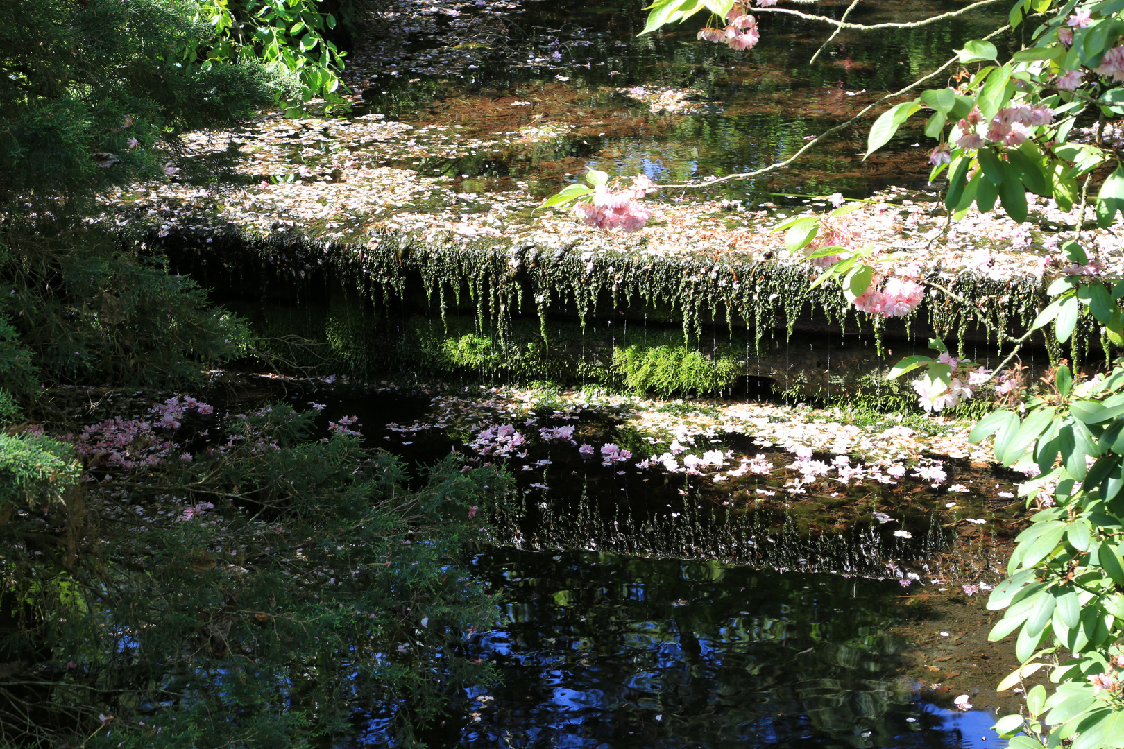 Japanischer Garten, Leverkusen Foto & Bild | landschaft ...