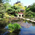 Japanischer Garten Leverkusen