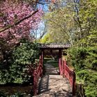 Japanischer Garten Leverkusen