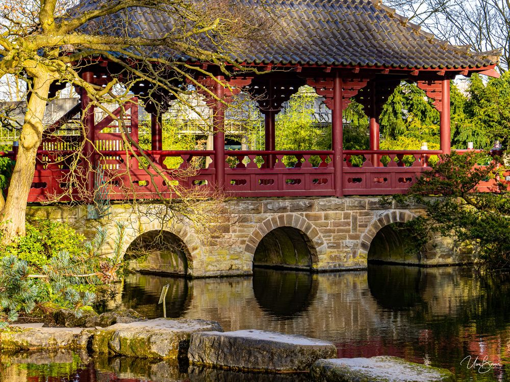 Japanischer Garten Leverkusen im Winter Foto & Bild landschaft