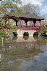 Japanischer Garten - Leverkusen IV