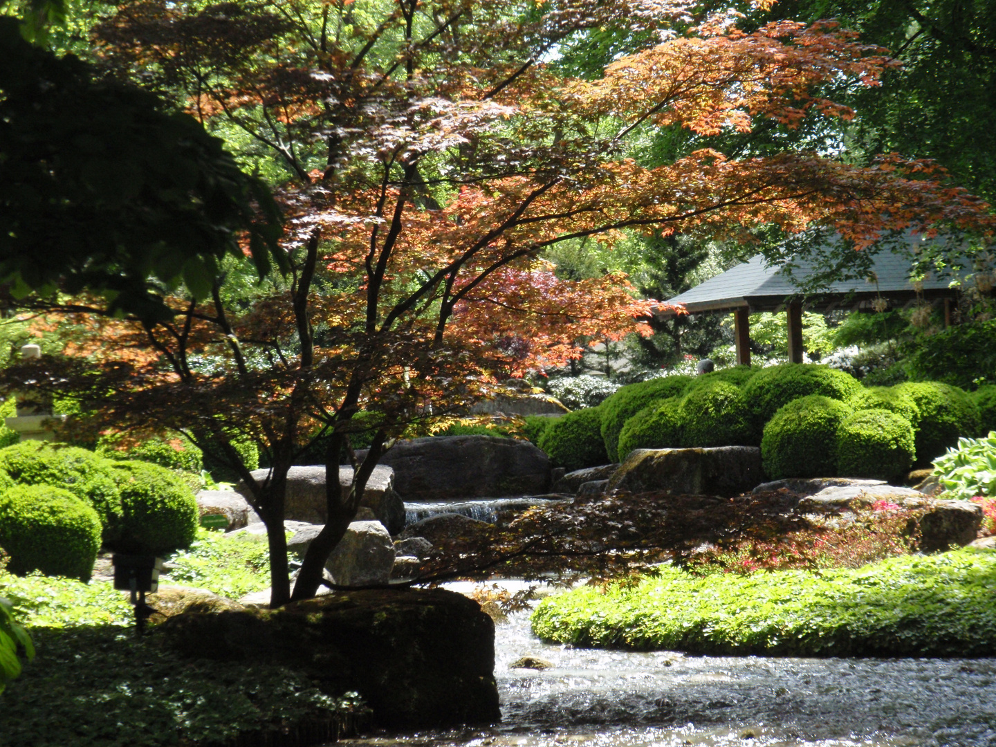 Japanischer Garten - Mai 2012